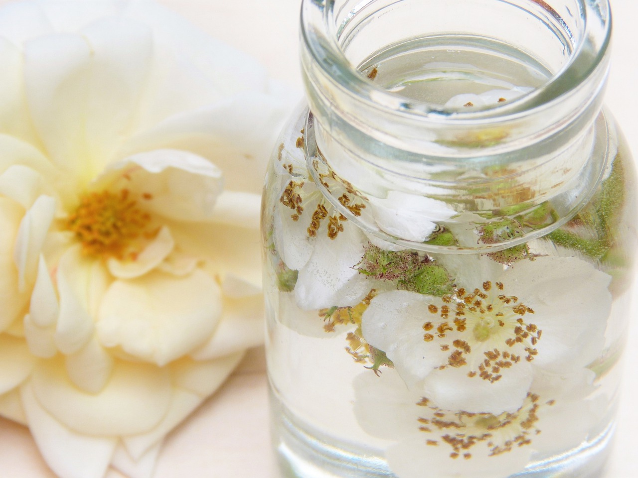 Benefici Produse Cosmetice Bio