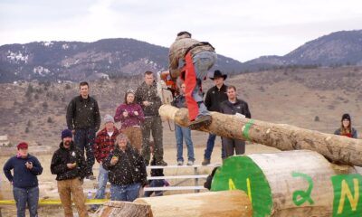 piese drujba husqvarna